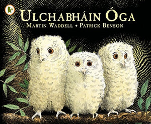 Ulchabháin Óga (Owl Babies) 