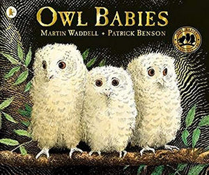 Owl Babies 