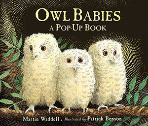 Owl Babies 