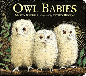 Owl Babies 