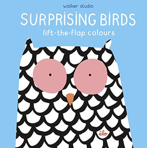 Surprising Birds: Lift-the-Flap Colours 