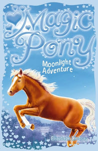 Magic Pony: #3 Moonlight Adventure 