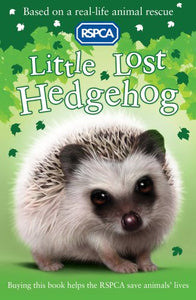 Little Lost Hedgehog 