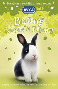 Bunny Needs a Friend 