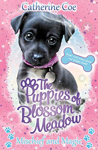 Mischief and Magic (Puppies of Blossom Meadow #2) 