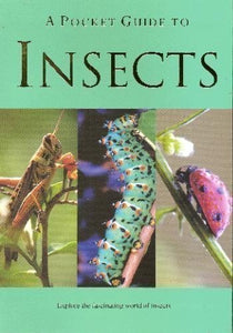 A Pocket Guide to Insects (Pocket Guides) 