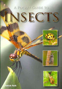 A Pocket Guide to Insects 