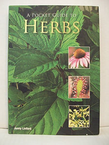 A Pocket Guide to Herbs 