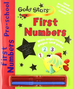 Gold Stars Wipe Clean Workbook 