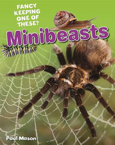 Minibeasts 