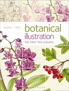 Botanical Illustration 