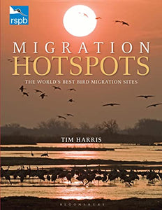 RSPB Migration Hotspots 