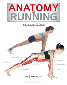 Anatomy of Running 