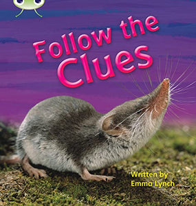 Bug Club Phonics - Phase 5 Unit 18: Follow the Clues 