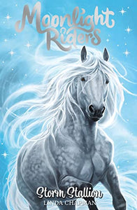 Moonlight Riders: Storm Stallion 