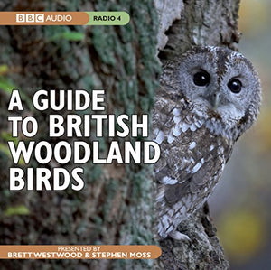 A Guide to British Woodland Birds 