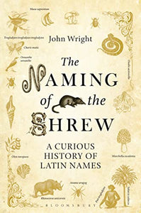 The Naming of the Shrew 