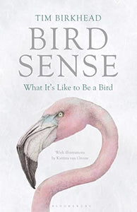 Bird Sense 