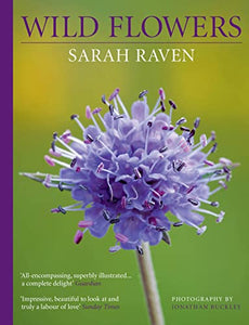 Sarah Raven's Wild Flowers 