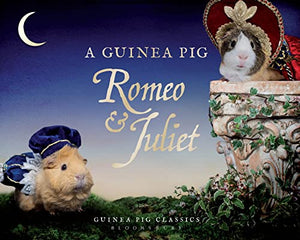 A Guinea Pig Romeo & Juliet 