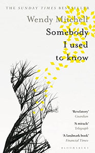 Somebody I Used to Know 