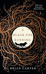 A Black Fox Running 