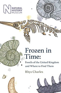 Frozen in Time 