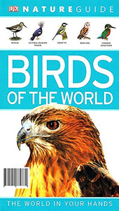 Birds Of The World : Nature Guide : 