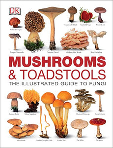 Mushrooms & Toadstools 