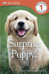 Surprise Puppy! 