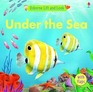 Lift and Look Under the Sea 