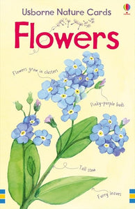 Flowers Usborne Nature Cards 