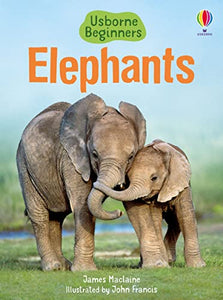 Elephants 