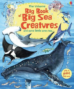 Big Book of Big Sea Creatures 