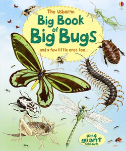 Big Book of Big Bugs 