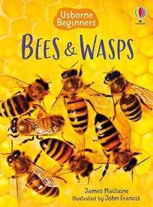 Bees and Wasps 