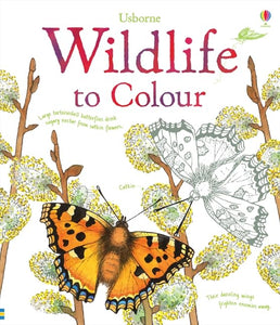 Wildlife to Colour 