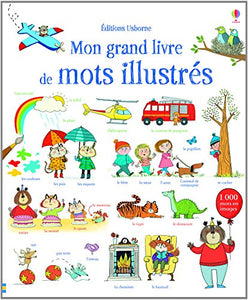 Mon grand livre de mots illustrés 