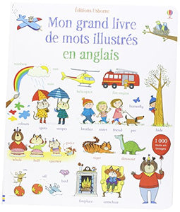 Mon grand livre de mots illustrés en anglais 