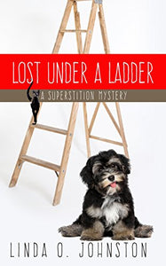 Lost Under a Ladder 