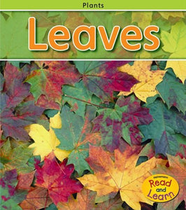 Leaves 