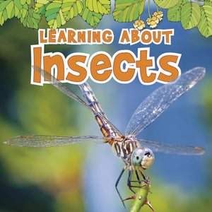 Learning about Insects 