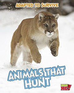 Animals That Hunt 