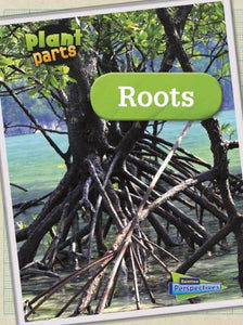 Plant Parts Roots 