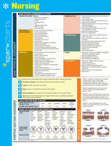 Nursing SparkCharts 