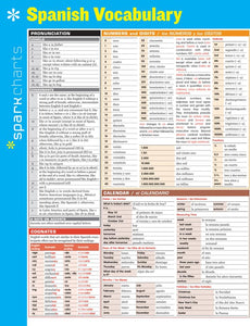 Spanish Vocabulary SparkCharts 