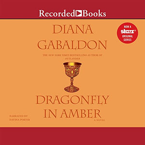 Dragonfly in Amber 