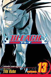 Bleach, Vol. 13 