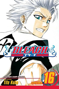 Bleach, Vol. 16 