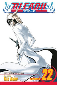 Bleach, Vol. 22 